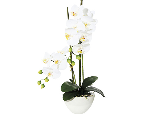 Plante artificielle Phalaenopsis h 50 cm blanc