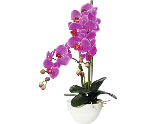 Plante artificielle Phalaenopsis h 50 cm violet
