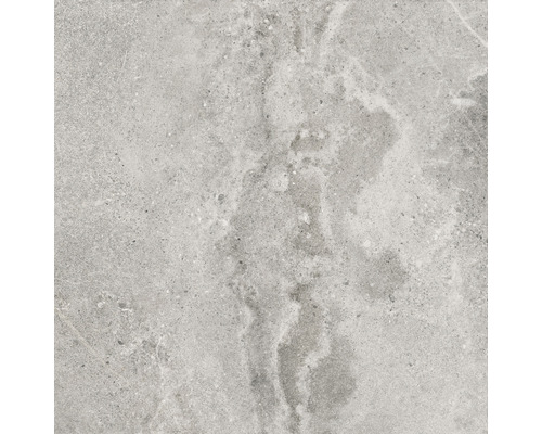 Carrelage sol et mur en grès cérame fin Dolomiti 60x60 cm ash