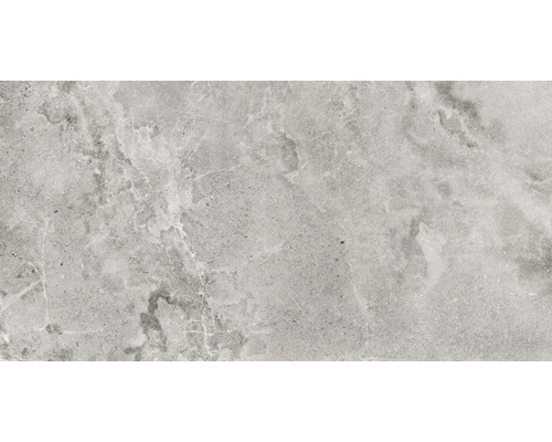 Carrelage sol et mur en grès cérame fin Dolomiti 60x120 cm ash