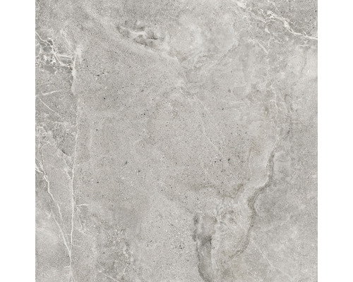 Carrelage sol et mur en grès cérame fin Dolomiti 80x80 cm ash
