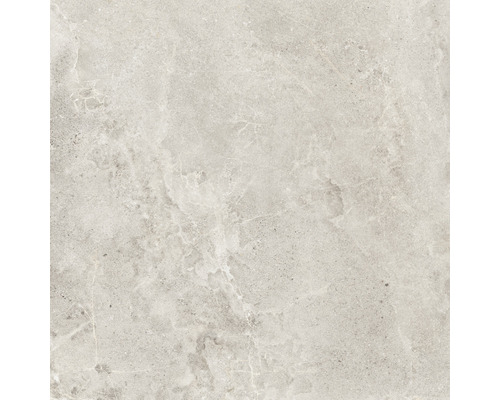 Wand- und Bodenfliese Dolomiti bone 80x80cm matt rektifiziert