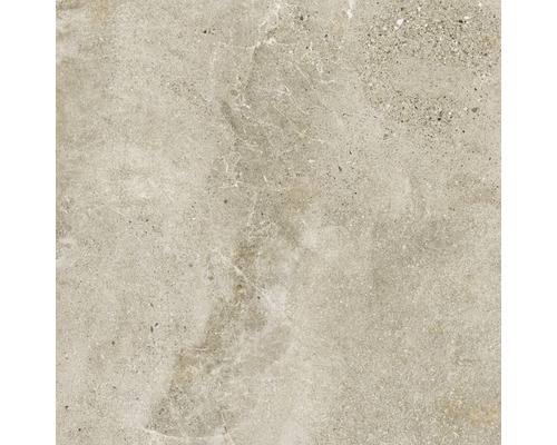 Carrelage sol et mur en grès cérame fin Dolomiti 80x80 cm nut