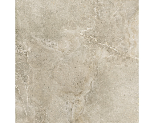 Carrelage sol et mur en grès cérame fin Dolomiti 120x120 cm nut