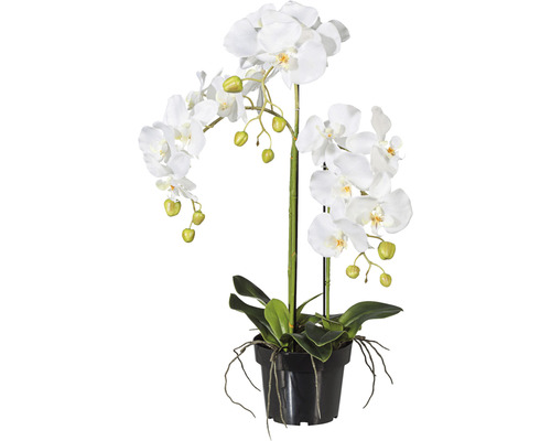 Plante artificielle Phalaenopsis h 62 cm blanc