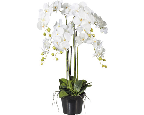 Plante artificielle Phalaenopsis h 90 cm blanc