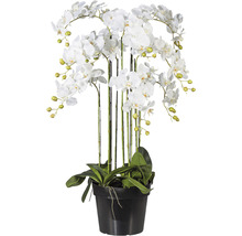 Künstliche Orchidee im Topf für die Dekoration