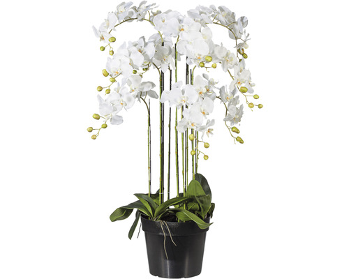 Plante artificielle Phalaenopsis h 110 cm blanc