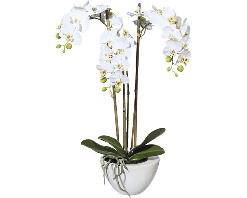 Plante artificielle mini-phalaenopsis h 51 cm blanc