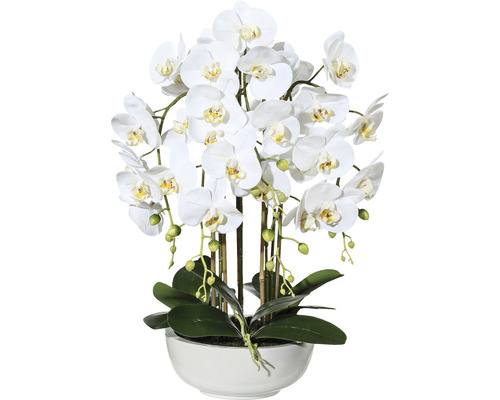 Plante artificielle Phalenopsis h 66 cm blanc