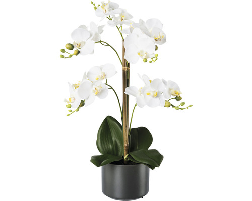 Plante artificielle Phalaenopsis h 38 cm blanc