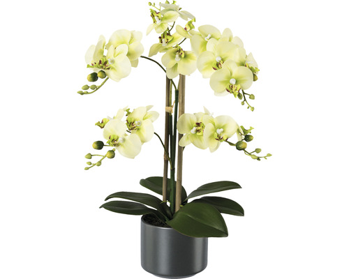 Kunstpflanze Phalaenopsis H 38 cm grün