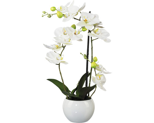 Plante artificielle Phalaenopsis h 42 cm blanc