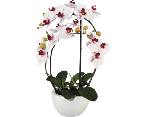 Plante artificielle Phalaenopsis h 52 cm rose