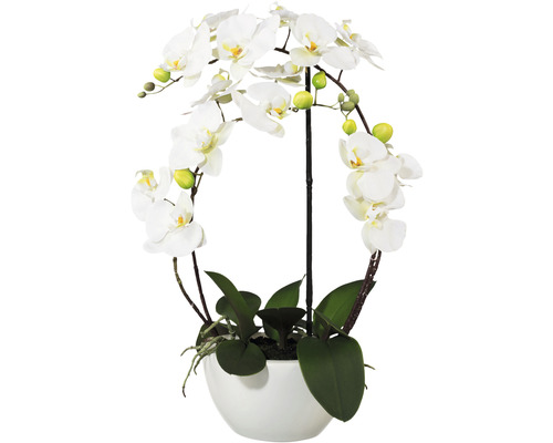 Plante artificielle Phalaenopsis h 52 cm blanc