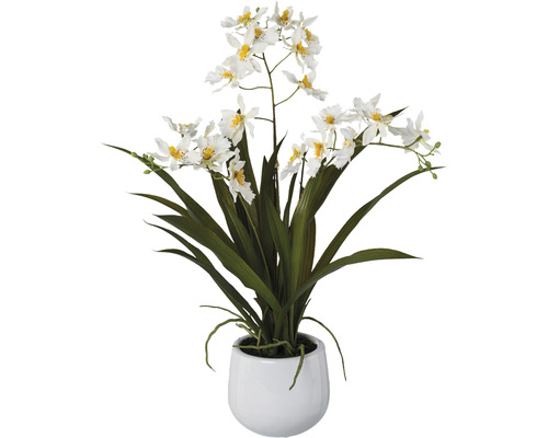 Plante artificielle Gambia orchidée h 50 cm blanc