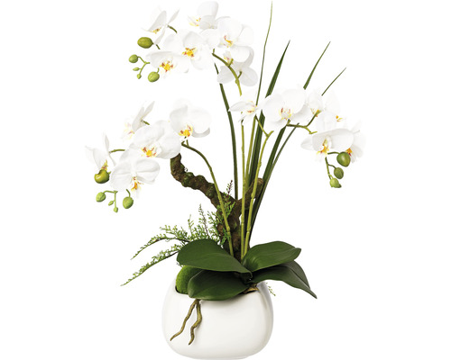 Plante artificielle Phalaenopsis h 46 cm blanc