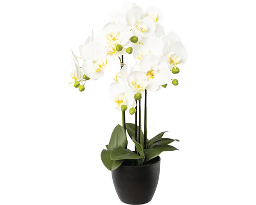 Plante artificielle Phalaenopsis h 55 cm blanc