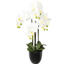 Künstliche weiße Orchidee im schwarzen Topf