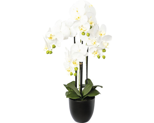 Plante artificielle Phalaenopsis h 69 cm blanc