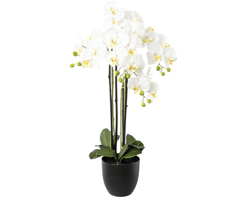 Kunstpflanze Phalaenopsis H 83 cm weiß