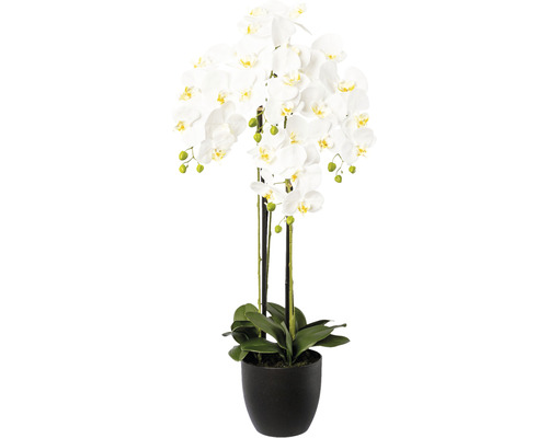 Plante artificielle Phalaenopsis h 99 cm blanc