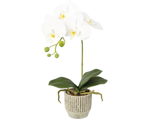 Kunstpflanze Phalaenopsis H 36 cm weiß