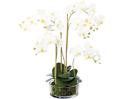 Plante artificielle Phalaenopsis h 50 cm blanc
