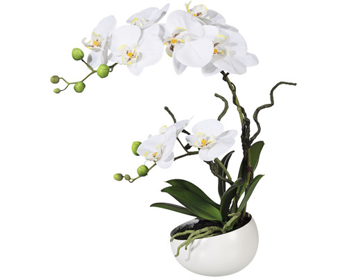 Kunstpflanze Phalaenopsis H 42 cm weiß