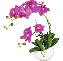 Künstliche Phalaenopsis Orchidee im Topf als Dekoration