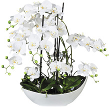 Dekorative Orchidee in einer Schale als Tischdekoration