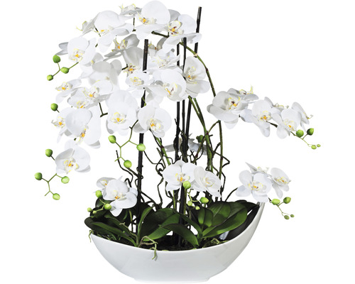Plante artificielle Phalaenopsis h 68 cm blanc