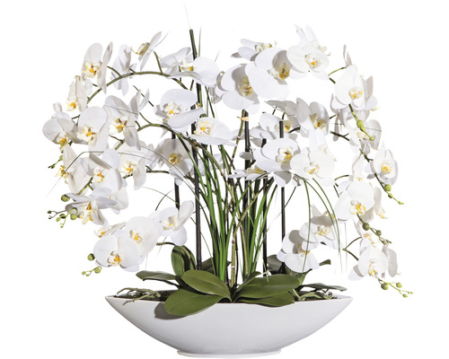 Plante artificielle Phalaenopsis h 70 cm blanc