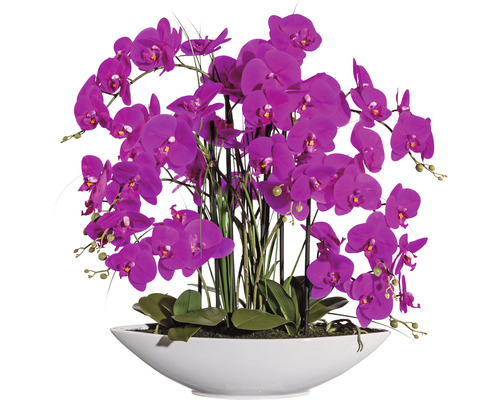 Plante artificielle Phalaenopsis h 70 cm violet