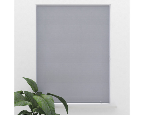 Store enrouleur gris devant une fenêtre avec une plante d''intérieur