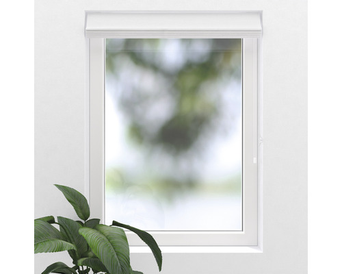Fenêtre avec store enrouleur pour l''ombrage