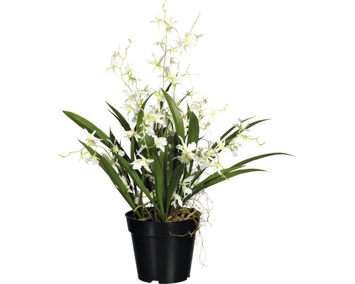 Plante artificielle Oncydie Dancing h 60 cm blanc