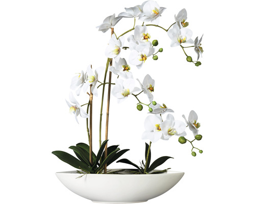 Plante artificielle Phalaenopsis h 60 cm blanc