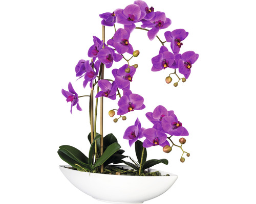 Plante artificielle Phalaenopsis h 60 cm violet