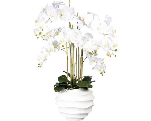 Plante artificielle Phalaenopsis h 95 cm blanc