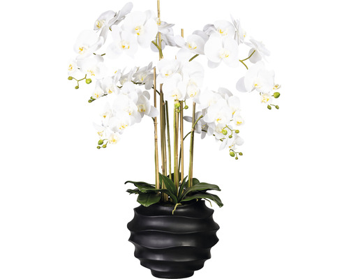 Plante artificielle Phalaenopsis h 95 cm blanc