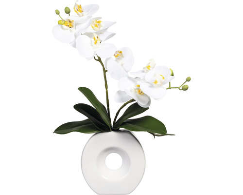 Plante artificielle Phalaenopsis h 35 cm blanc