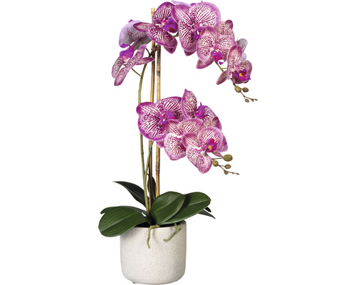 Kunstpflanze Phalaenopsis H 60 cm pink