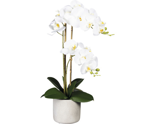 Kunstpflanze Phalaenopsis H 60 cm weiß