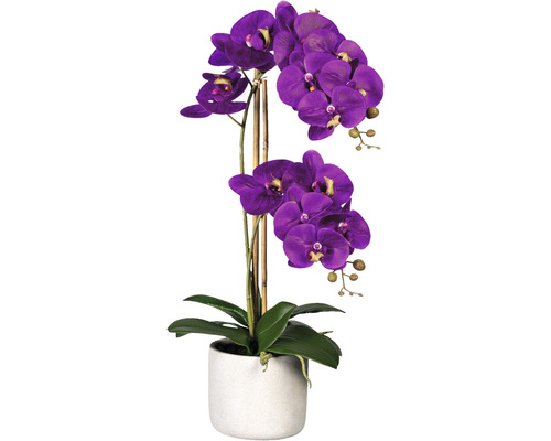 Plante artificielle Phalenopsis h 60 cm violet