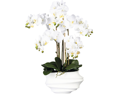 Plante artificielle Phalaenopsis h 75 cm blanc