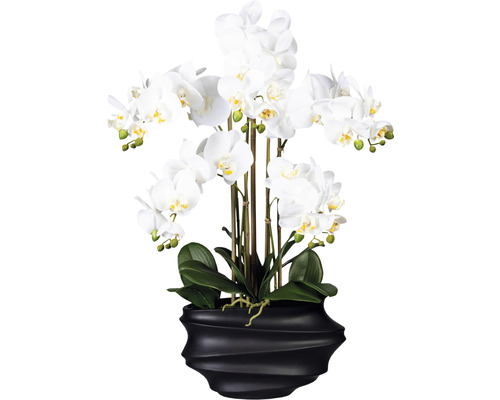 Plante artificielle Phalenopsis h 75 cm blanc