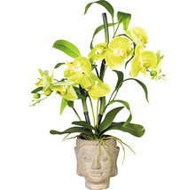 Plante artificielle orchidée h 60 cm vert
