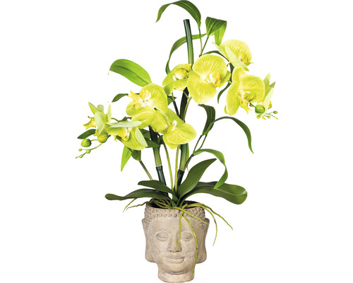 Plante artificielle orchidée h 60 cm vert