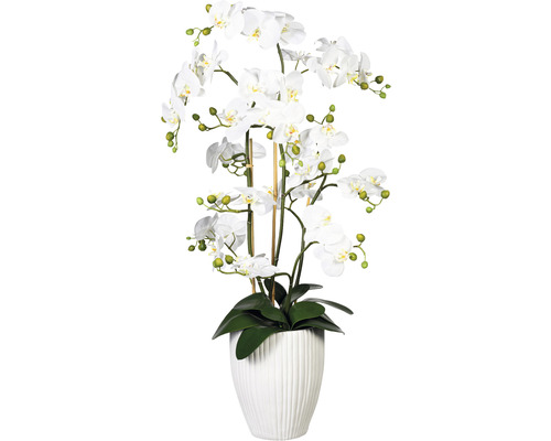 Plante artificielle orchidée h 110 cm blanc